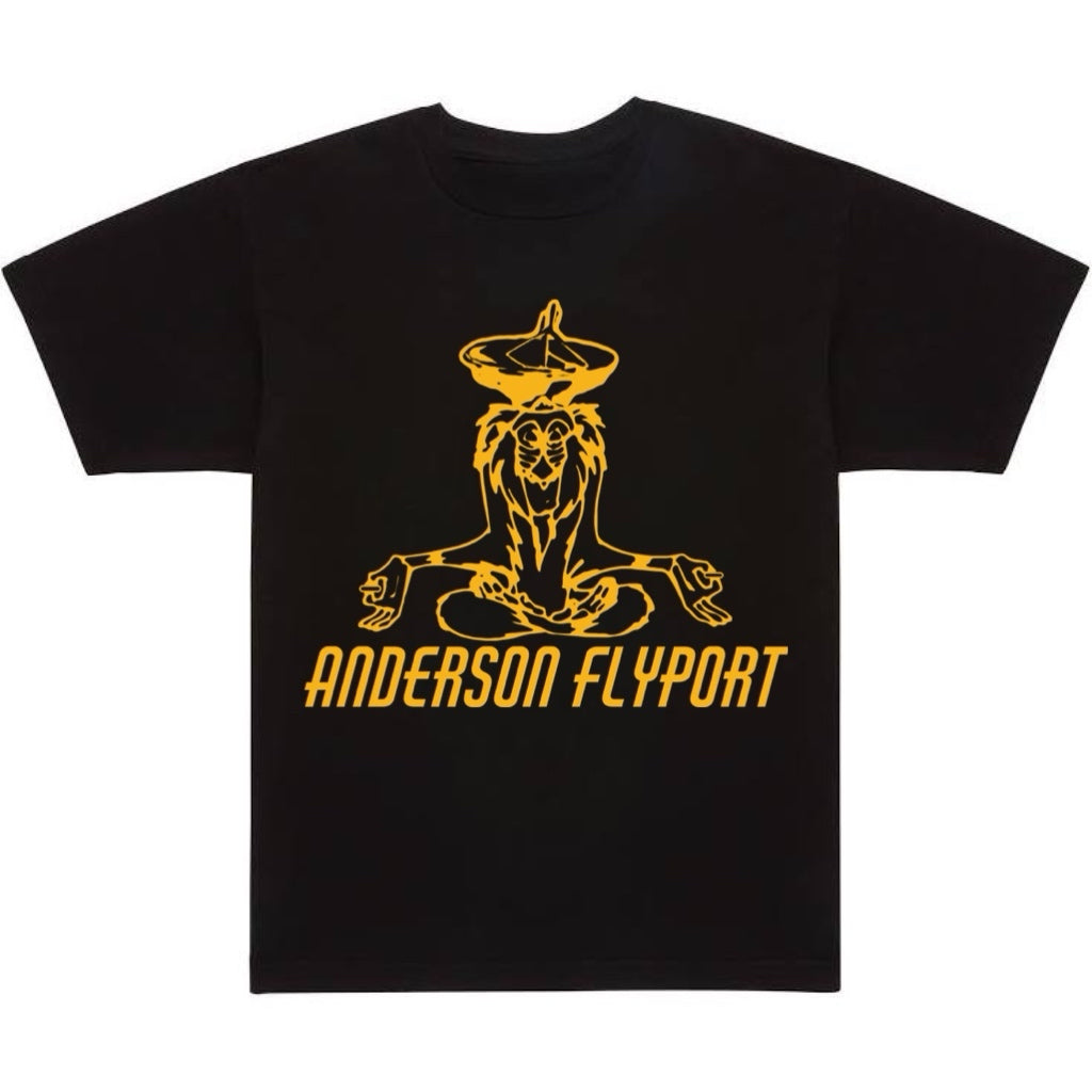 Flyport T
